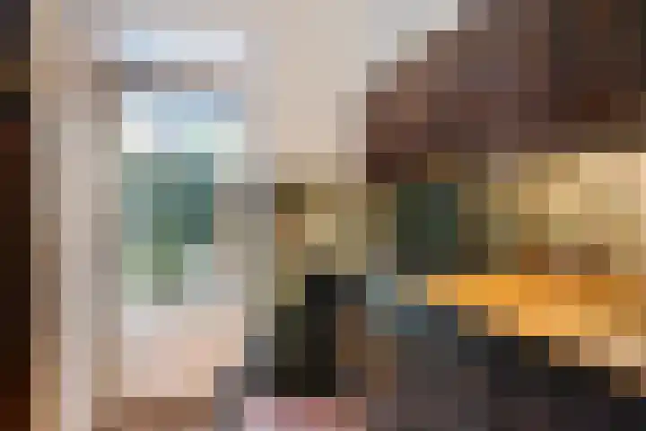Prof ten Doesschatestraat 217 Heemskerk thumbnail 11