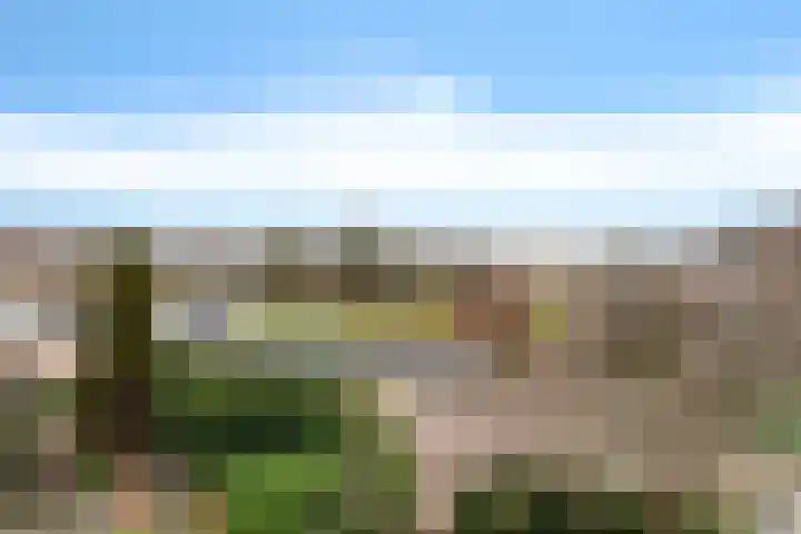 Prof ten Doesschatestraat 217 Heemskerk thumbnail 16