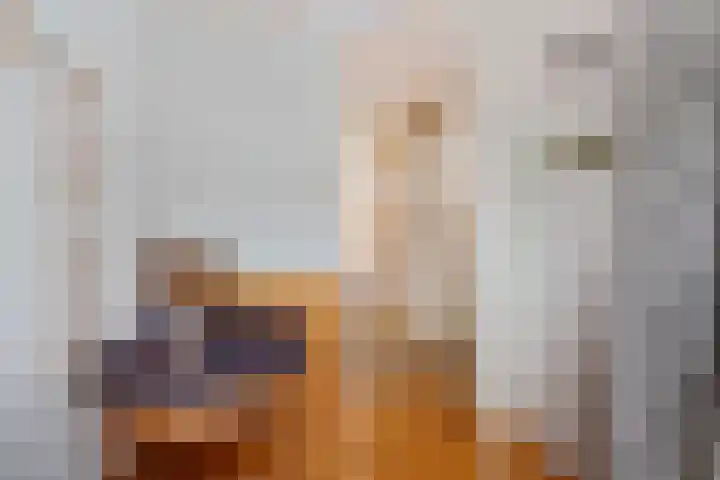 Prof ten Doesschatestraat 217 Heemskerk thumbnail 19