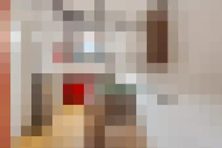 Prof ten Doesschatestraat 217 Heemskerk thumbnail 24