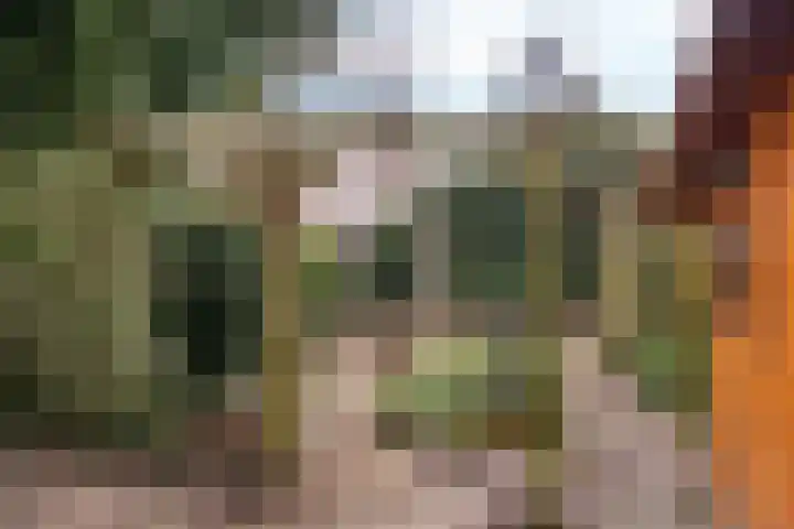 Prof ten Doesschatestraat 217 Heemskerk thumbnail 29