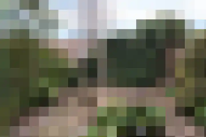 Prof ten Doesschatestraat 217 Heemskerk thumbnail 30