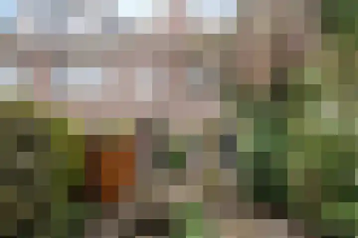 Prof ten Doesschatestraat 217 Heemskerk thumbnail 31