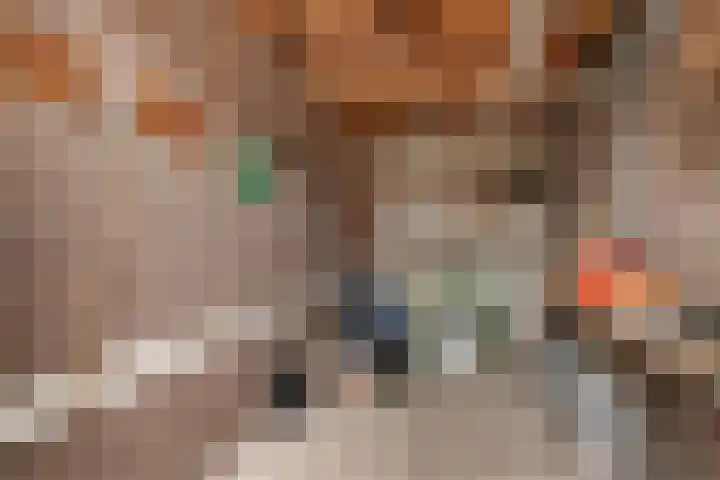 Prof ten Doesschatestraat 217 Heemskerk thumbnail 32