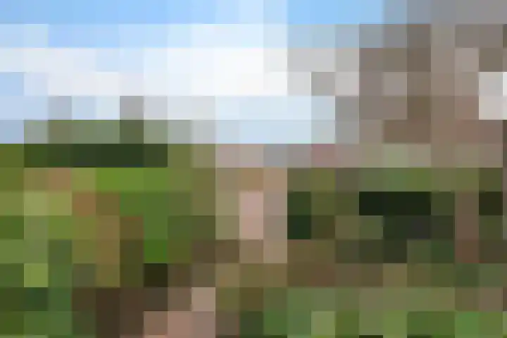 Prof ten Doesschatestraat 217 Heemskerk thumbnail 33