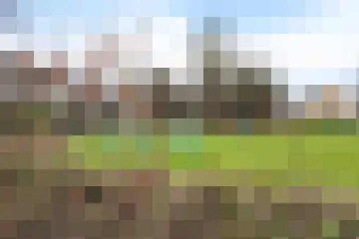 Prof ten Doesschatestraat 217 Heemskerk thumbnail 34