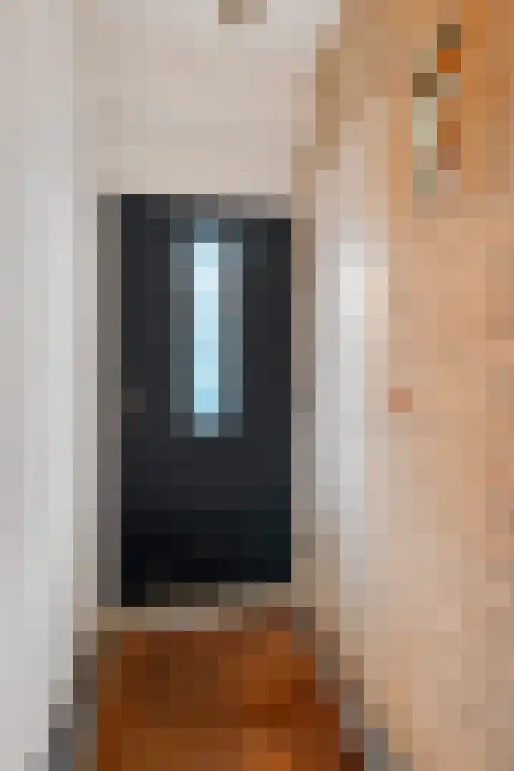Prof ten Doesschatestraat 217 Heemskerk thumbnail 4