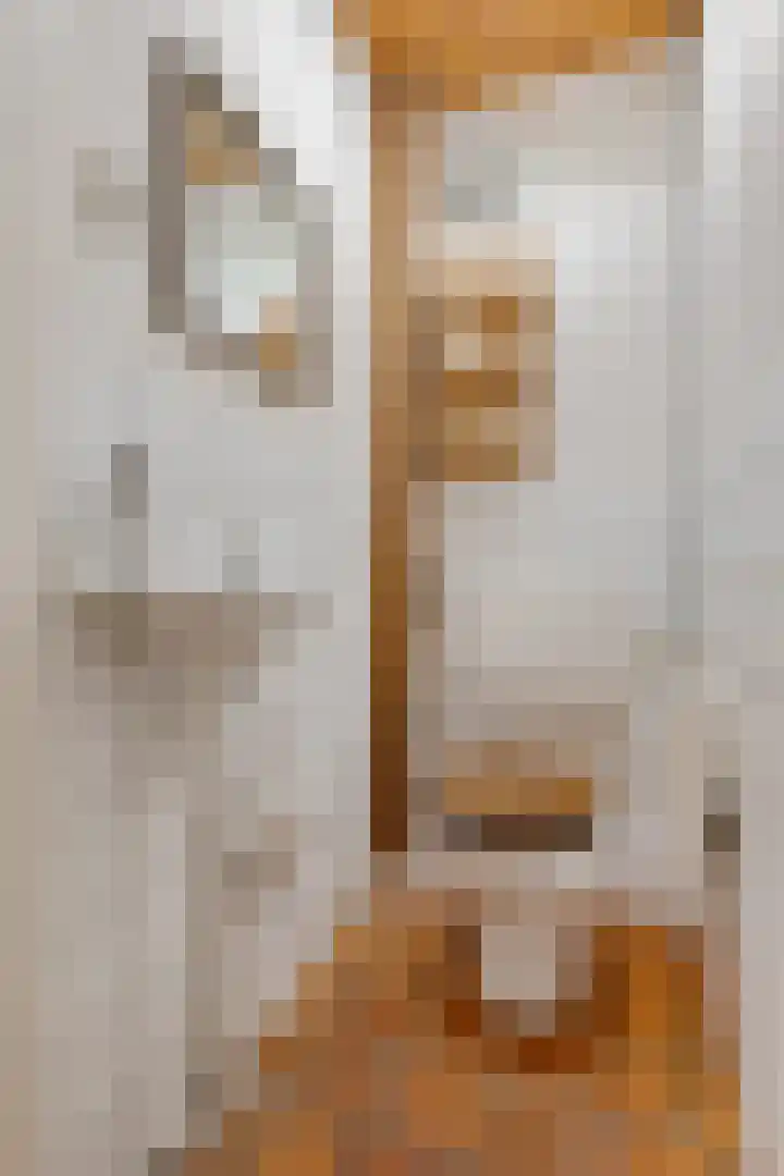 Prof ten Doesschatestraat 217 Heemskerk thumbnail 5