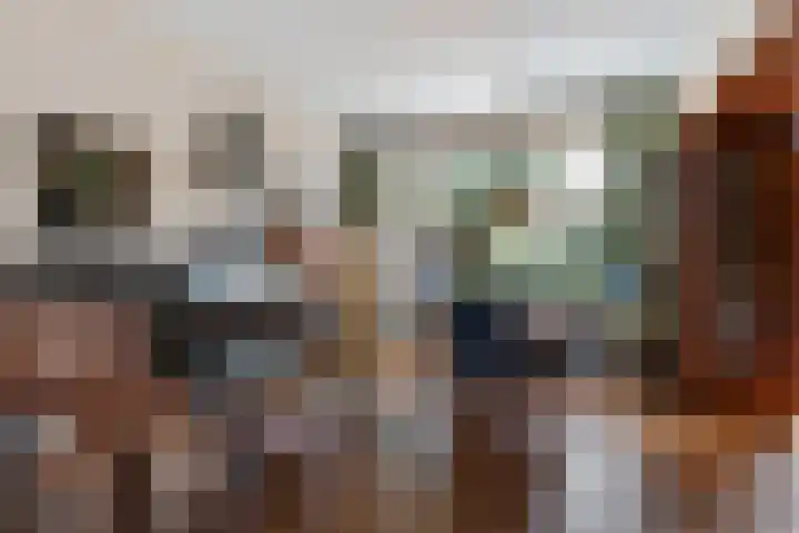 Prof ten Doesschatestraat 217 Heemskerk thumbnail 8