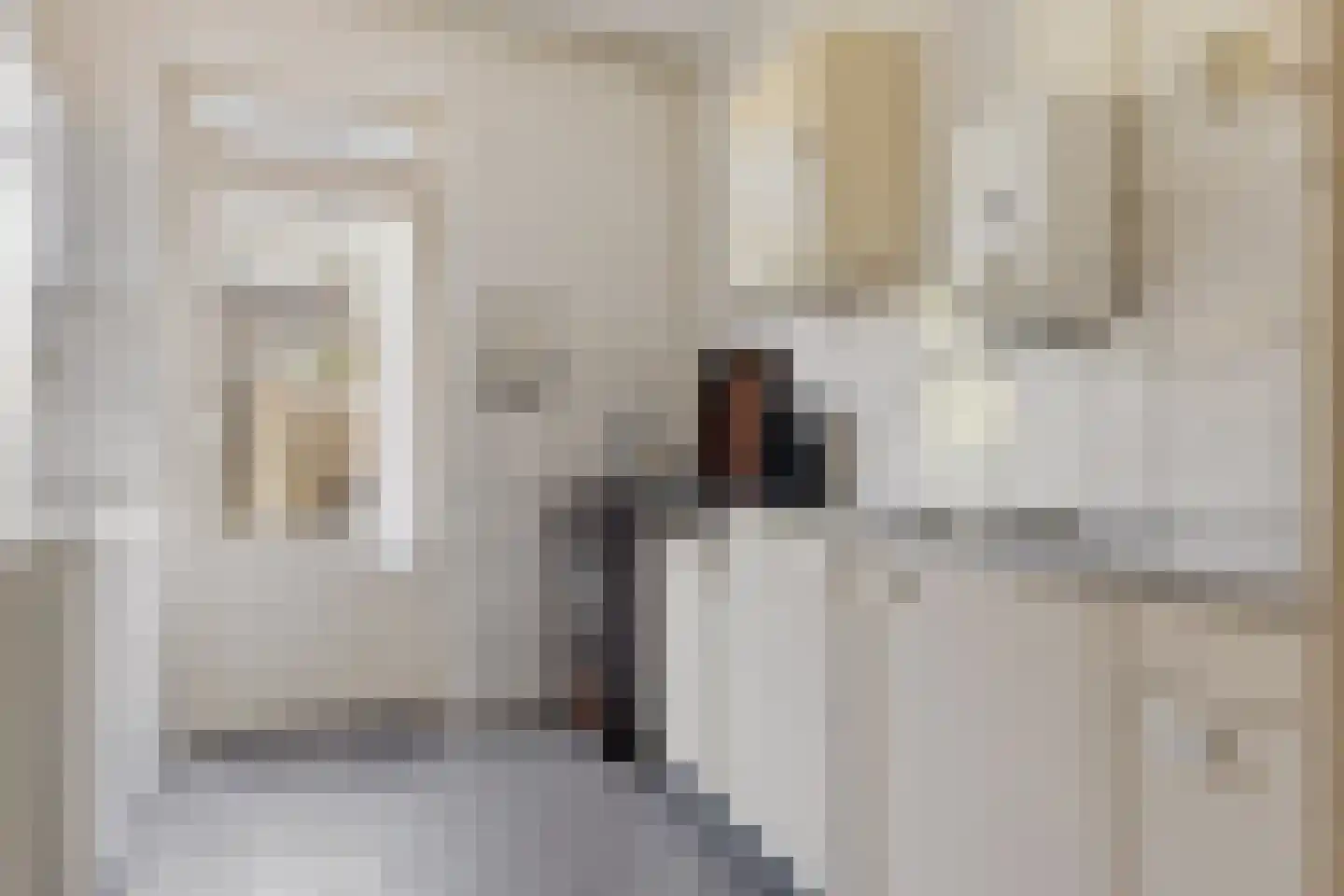 Prof ten Doesschatestraat 303 Heemskerk thumbnail 10
