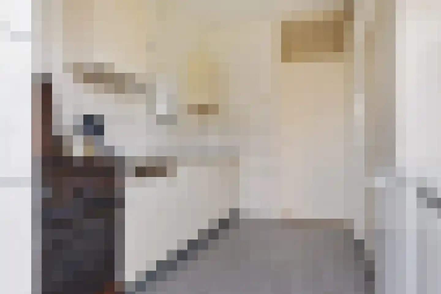 Prof ten Doesschatestraat 303 Heemskerk thumbnail 11