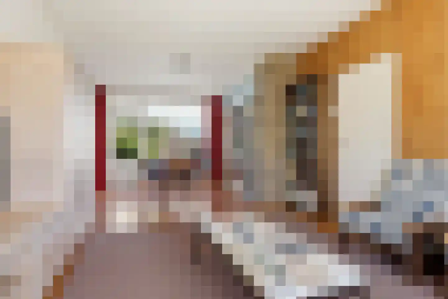 Prof ten Doesschatestraat 303 Heemskerk thumbnail 7