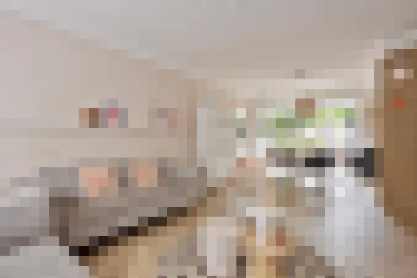 Prof ten Doesschatestraat 313 Heemskerk thumbnail 10