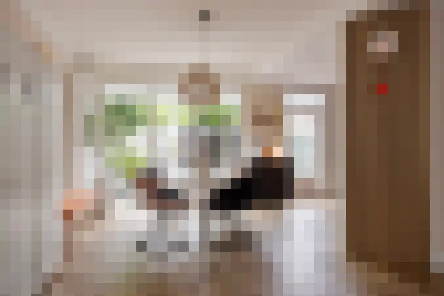 Prof ten Doesschatestraat 313 Heemskerk thumbnail 11