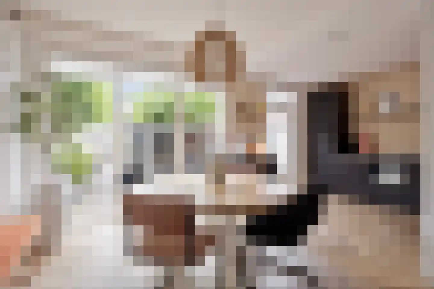 Prof ten Doesschatestraat 313 Heemskerk thumbnail 13