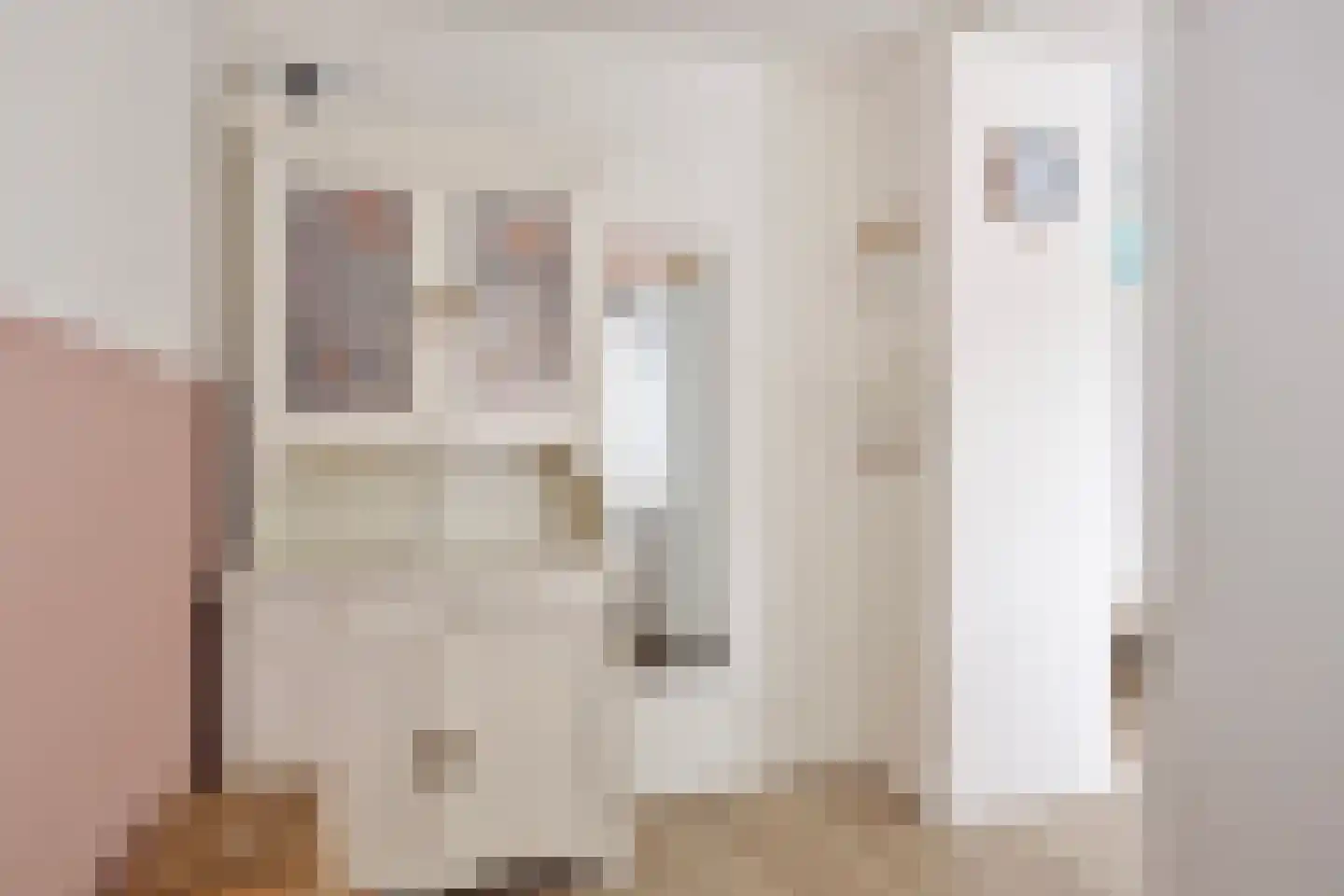 Prof ten Doesschatestraat 313 Heemskerk thumbnail 22