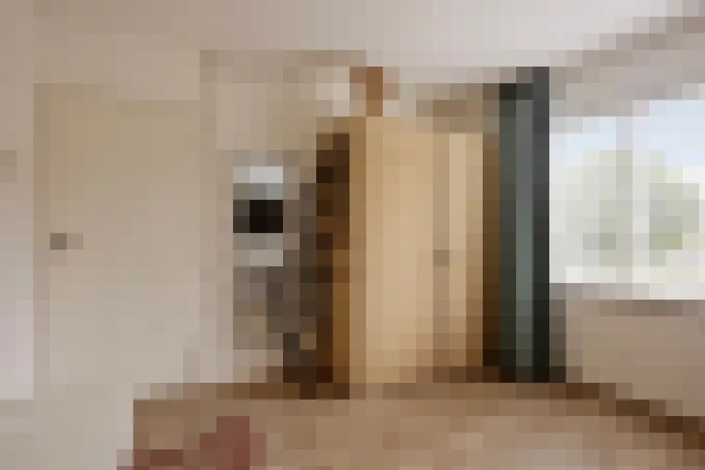 Prof ten Doesschatestraat 313 Heemskerk thumbnail 24