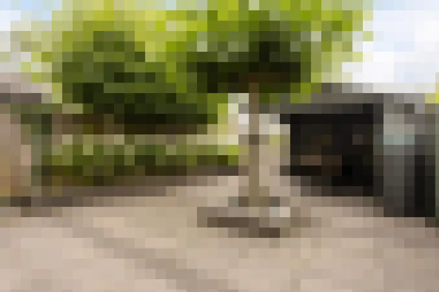 Prof ten Doesschatestraat 313 Heemskerk thumbnail 34
