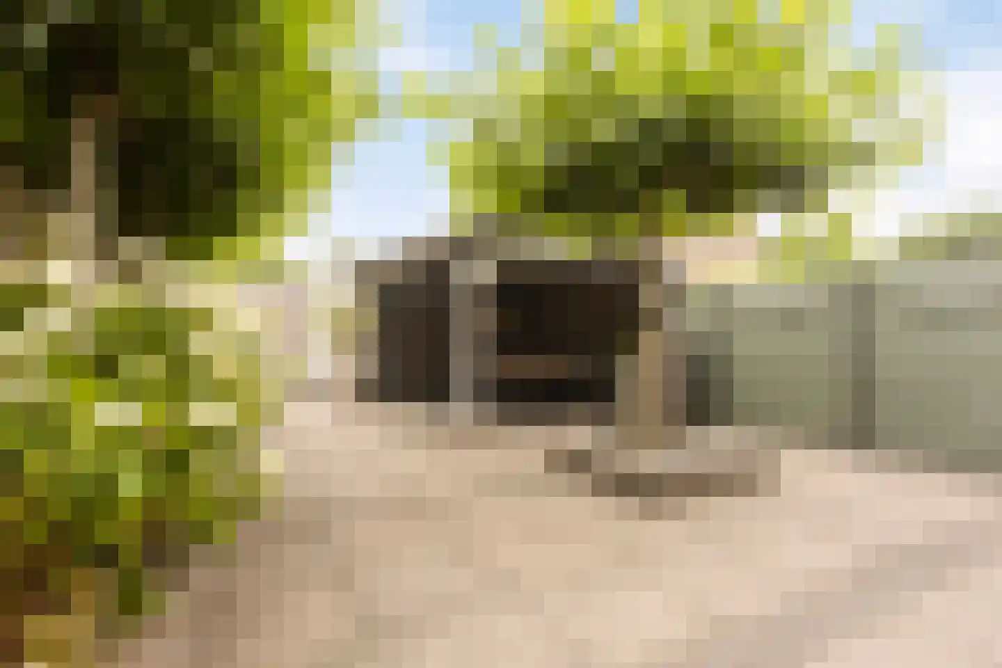 Prof ten Doesschatestraat 313 Heemskerk thumbnail 35