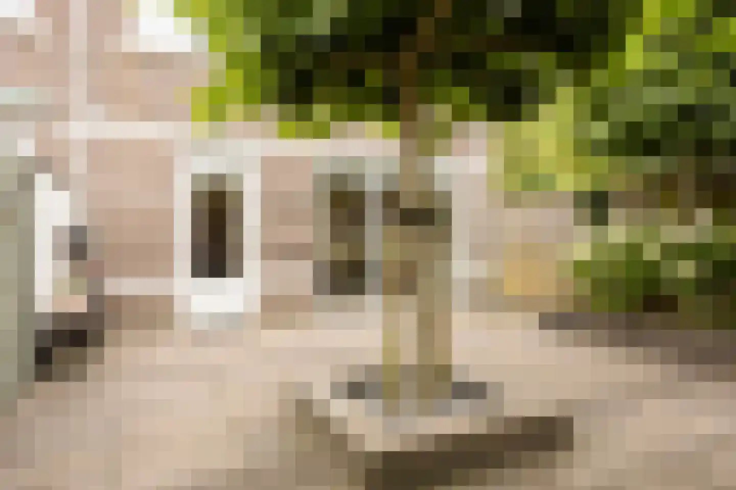 Prof ten Doesschatestraat 313 Heemskerk thumbnail 36
