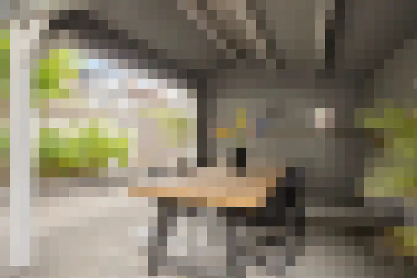 Prof ten Doesschatestraat 313 Heemskerk thumbnail 37