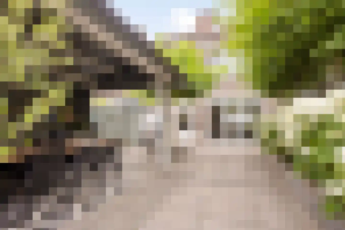 Prof ten Doesschatestraat 313 Heemskerk thumbnail 40