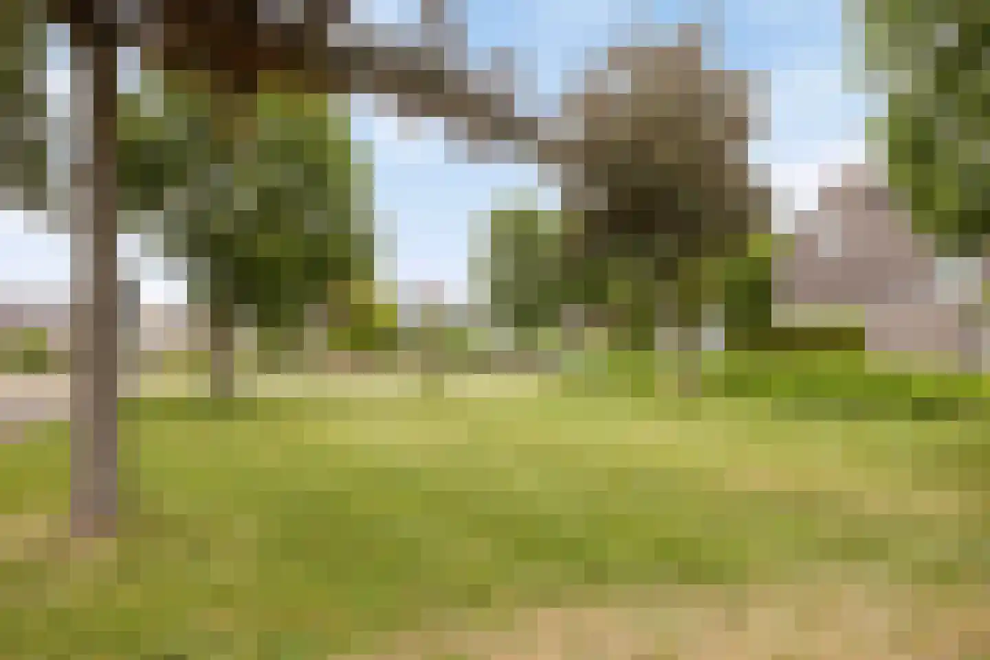 Prof ten Doesschatestraat 313 Heemskerk thumbnail 44
