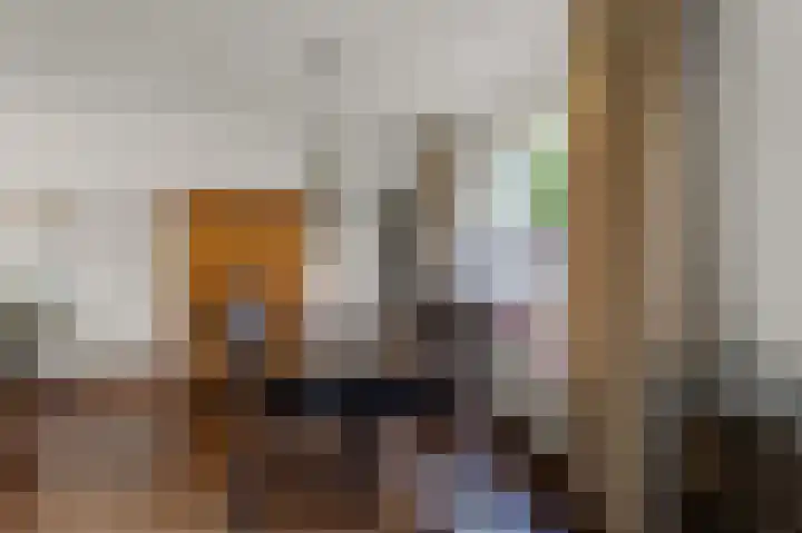 Prof ten Doesschatestraat 71 Heemskerk thumbnail 10