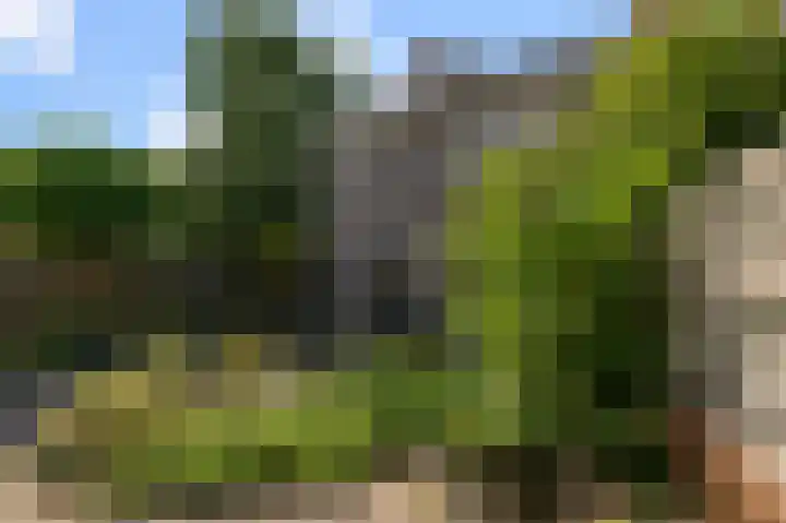 Prof ten Doesschatestraat 71 Heemskerk thumbnail 11