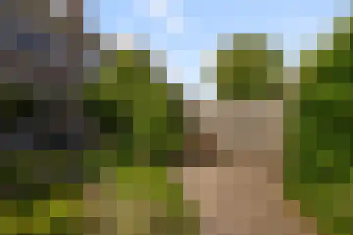 Prof ten Doesschatestraat 71 Heemskerk thumbnail 12