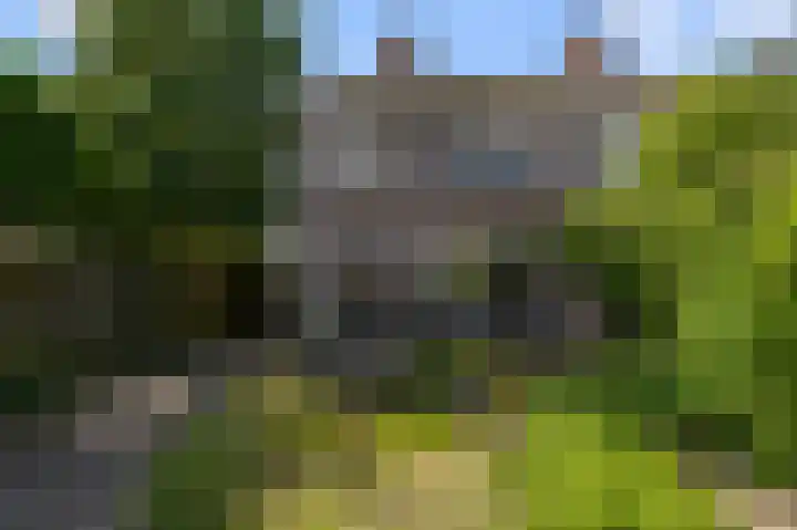 Prof ten Doesschatestraat 71 Heemskerk thumbnail 15
