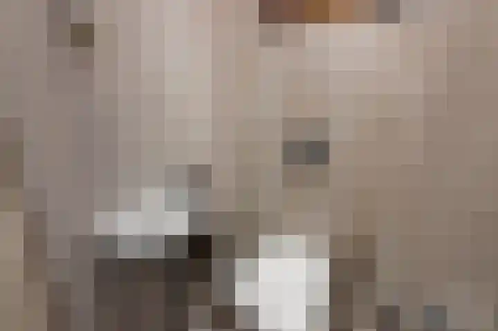 Prof ten Doesschatestraat 71 Heemskerk thumbnail 17
