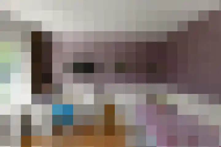 Prof ten Doesschatestraat 71 Heemskerk thumbnail 24