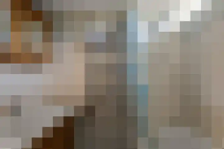 Prof ten Doesschatestraat 71 Heemskerk thumbnail 29