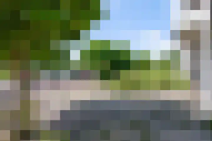 Prof ten Doesschatestraat 71 Heemskerk foto 3