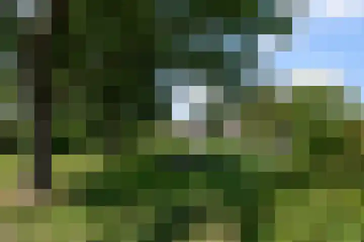 Prof ten Doesschatestraat 71 Heemskerk thumbnail 36