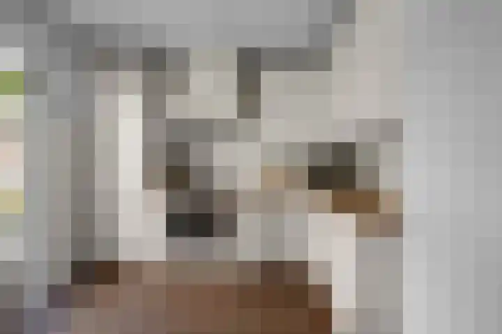 Prof ten Doesschatestraat 71 Heemskerk thumbnail 8