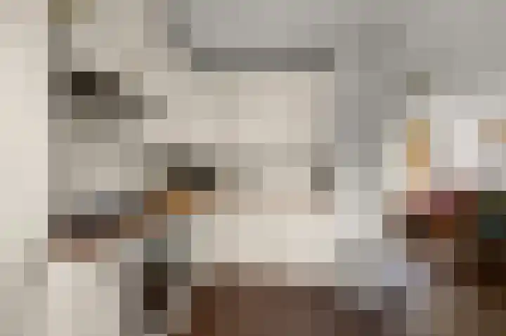 Prof ten Doesschatestraat 71 Heemskerk thumbnail 9