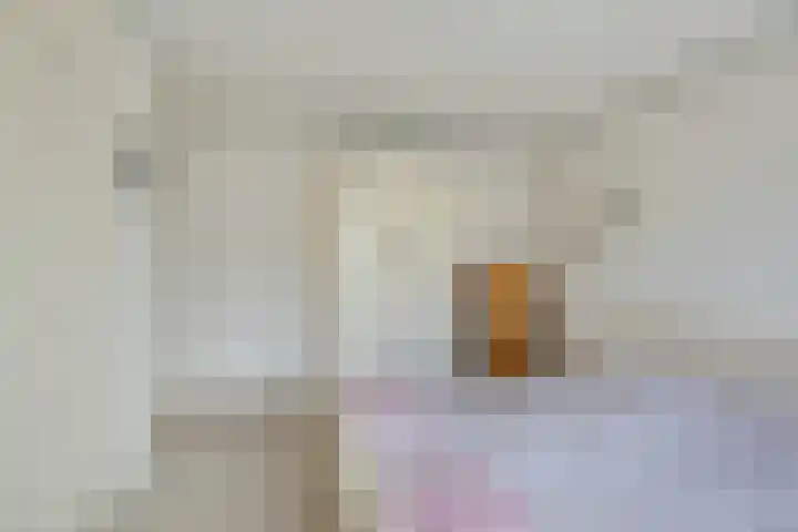 Prof ten Doesschatestraat 81 Heemskerk thumbnail 10