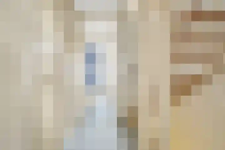 Prof ten Doesschatestraat 81 Heemskerk thumbnail 15
