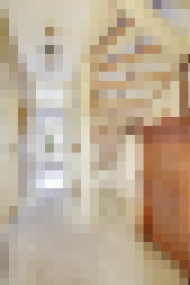 Prof ten Doesschatestraat 81 Heemskerk thumbnail 18