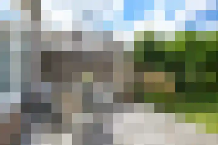 Prof ten Doesschatestraat 81 Heemskerk thumbnail 20