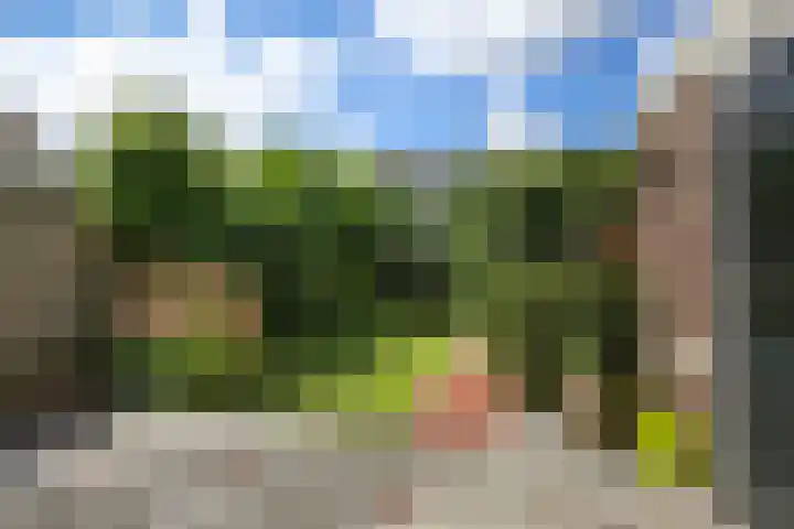 Prof ten Doesschatestraat 81 Heemskerk thumbnail 21