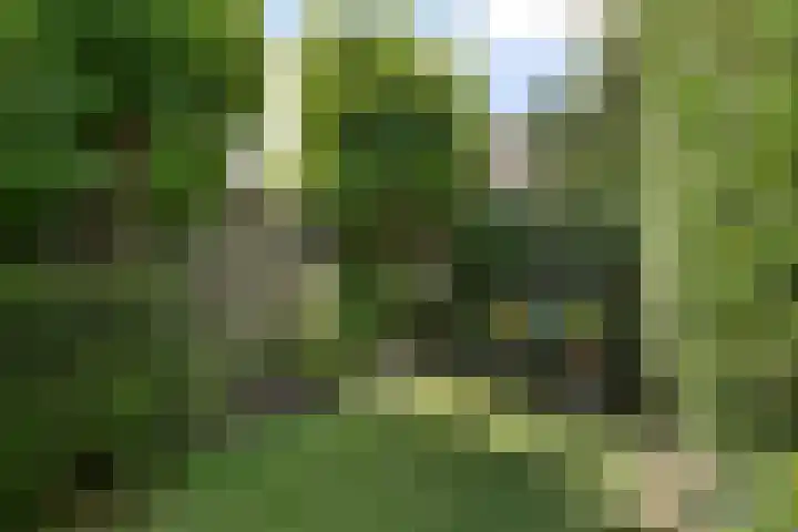Prof ten Doesschatestraat 81 Heemskerk thumbnail 22