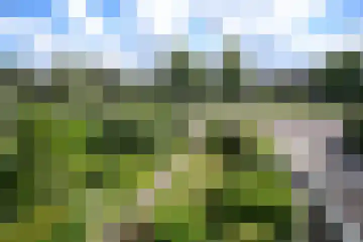 Prof ten Doesschatestraat 81 Heemskerk thumbnail 23