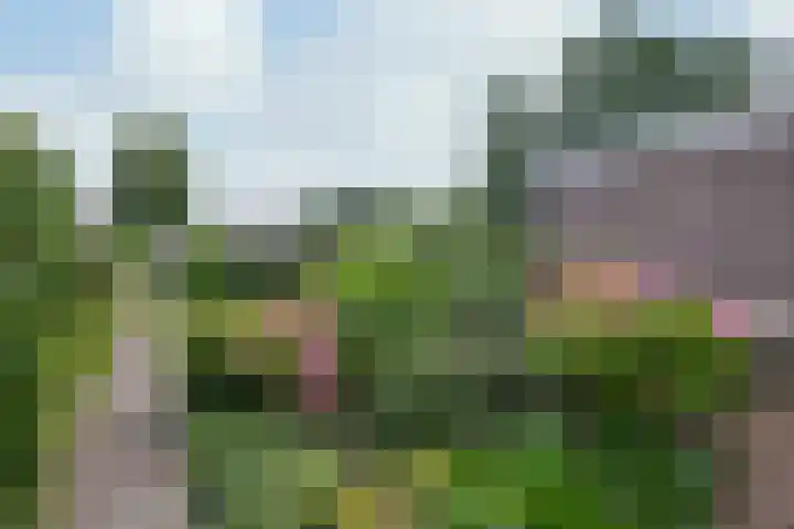 Prof ten Doesschatestraat 81 Heemskerk thumbnail 24