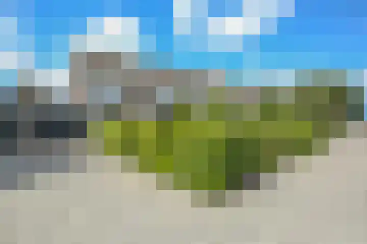 Prof ten Doesschatestraat 81 Heemskerk thumbnail 26