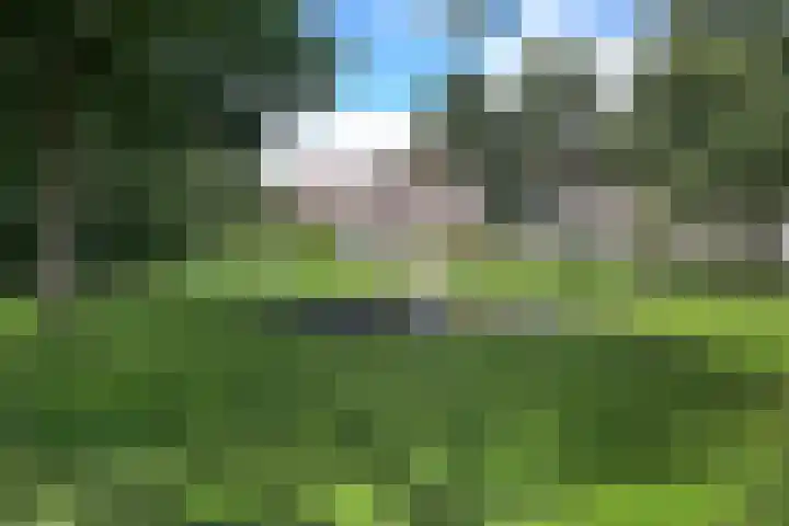 Prof ten Doesschatestraat 81 Heemskerk thumbnail 31