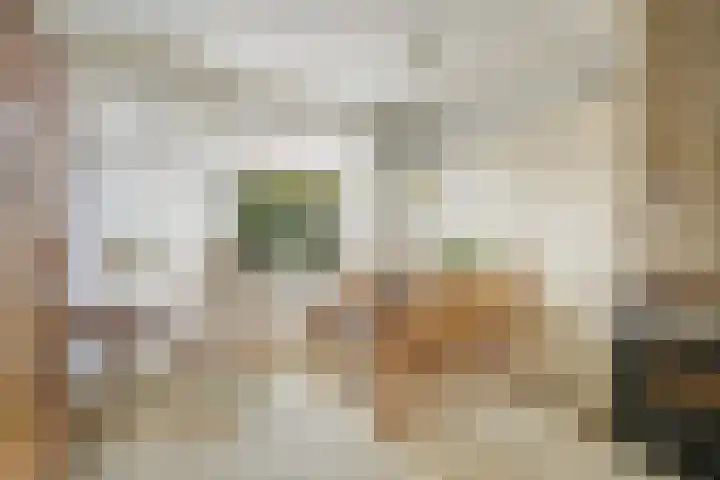 Prof ten Doesschatestraat 81 Heemskerk thumbnail 5