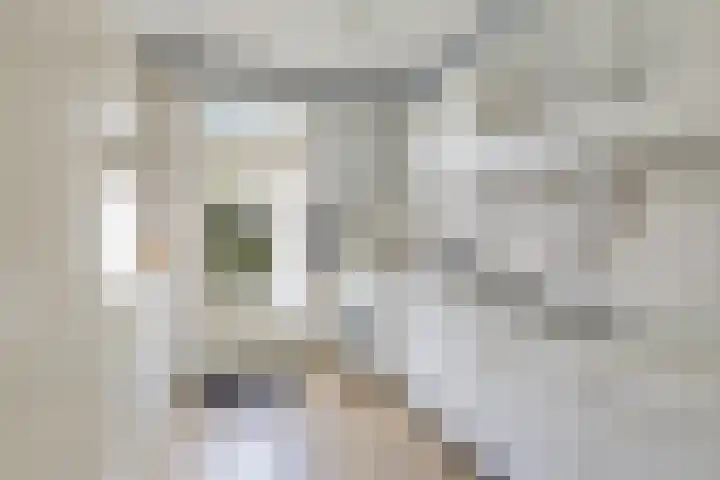 Prof ten Doesschatestraat 81 Heemskerk thumbnail 7